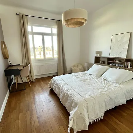 The Chill Apartment *